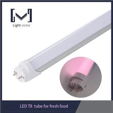 Tube LED T8 frais